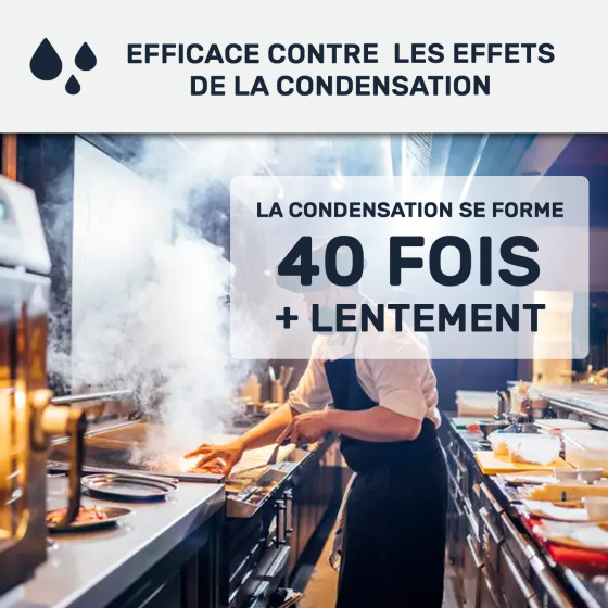 Peinture anti condensation, odeurs et moisissure pour pièce humide : Arcascreen Anti Condensation