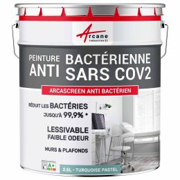 Peinture anti bactérienne, mur et plafond : Arcascreen Anti Bactérien  Couleur / Aspect