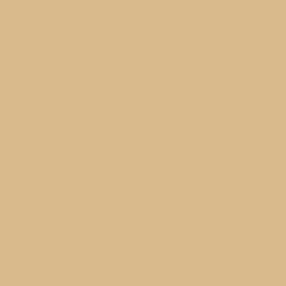 Vernice antiscivolo per pavimenti esterni e interni - RÉSINE SOLTHANE - 156 30 kg Beige - RAL 1001