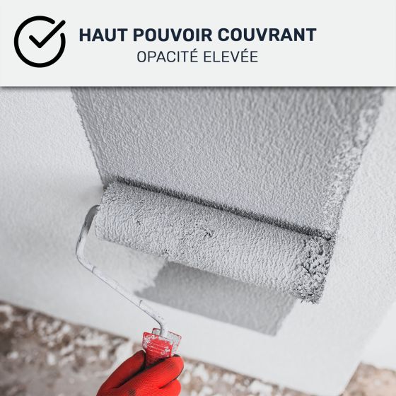 Peinture murale acrylique mate : ARCADÉCO MUR MAT Peinture murale acrylique mate : ARCADÉCO MUR MAT
