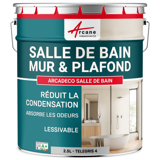 Peinture salle de bains mur et plafond :ARCADÉCO SALLE DE BAIN Telegris 4 - RAL 7047 - 2.5 L