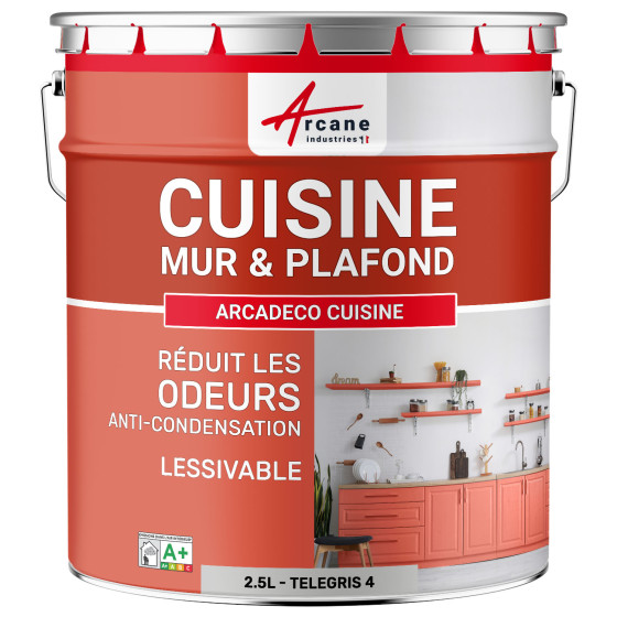 Peinture cuisine gris lavable. mur et plafond : ARCADÉCO CUISINE Telegris 4 - RAL 7047 - 2.5 L