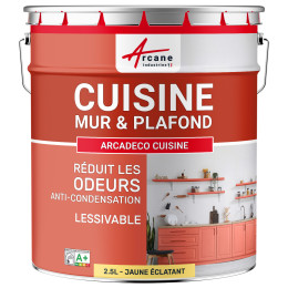 Peinture cuisine jaune lavable. mur et plafond : ARCADÉCO CUISINE 2.5 L - Jaune éclatant RAL 095 90 50