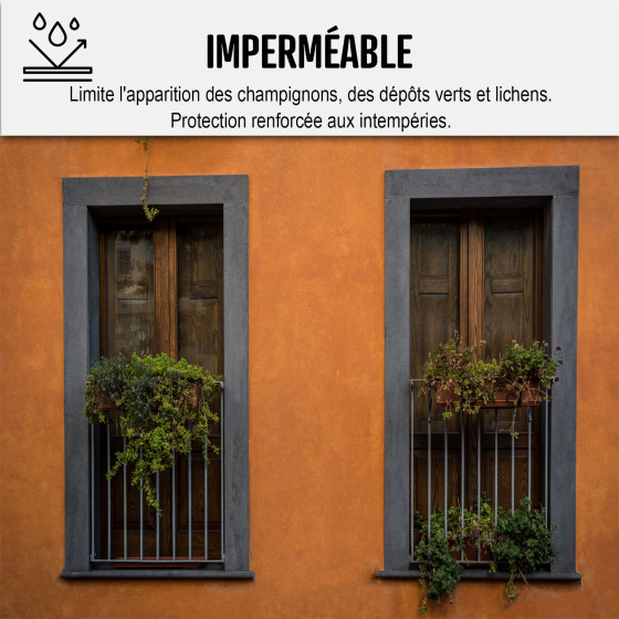 peinture façade - ARCAFAÇADE RENOV