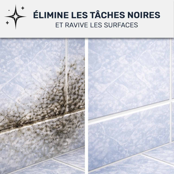 Anti-moisissures haute performance - STOP MOISISSURES