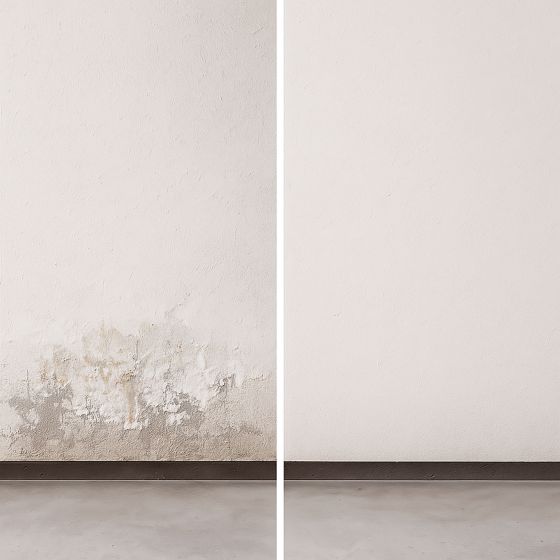 Antisalpeter behandelingsproduct: ARCASALT CLEAN