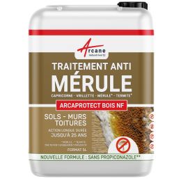 Traitement Anti Mérule