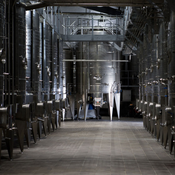 Pintura Resina Alimentaria para Cubas de Vino en Hormigón, Acero - REVEPOXY ALMACENAMIENTO VINO