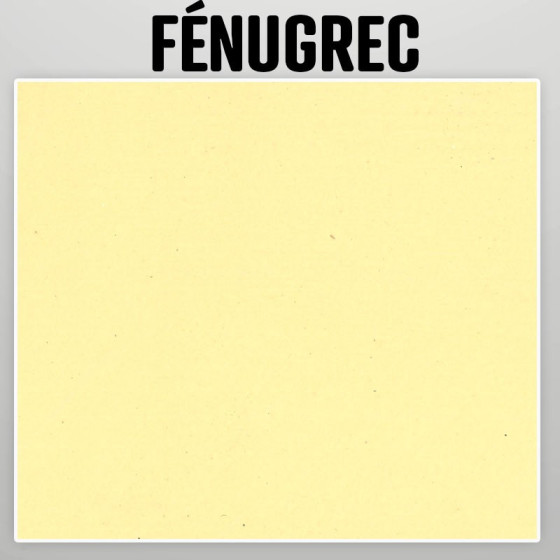 - Echantillon peinture a la chaux naturelle