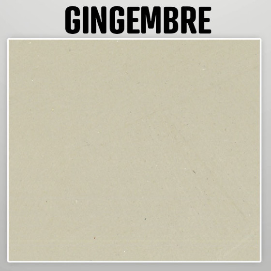 Echantillon nuancier peinture a la chaux naturelle