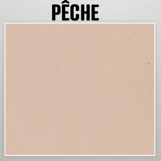 Echantillon nuancier peinture a la chaux naturelle