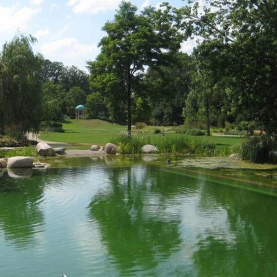 peinture piscine  - ARCAPISCINE