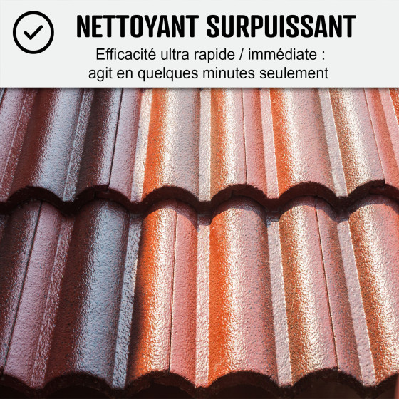 Nettoyant et désincrustant pour toiture - NET'TOIT