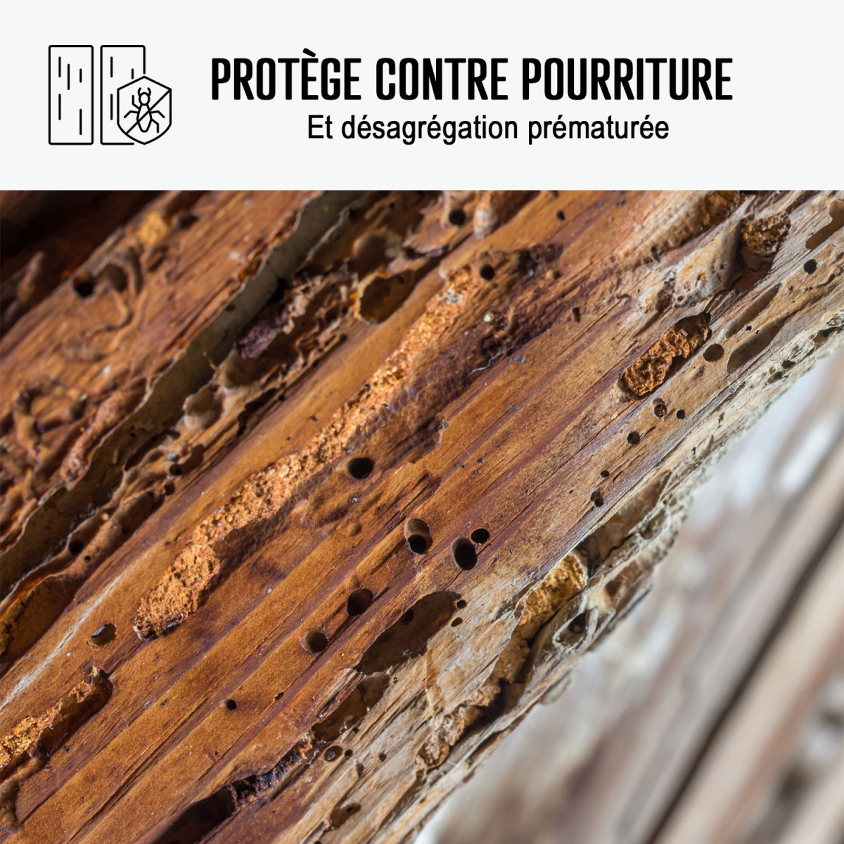 Réparation du bois intérieur / extérieur (enduit, nettoyant, pâte à bois)