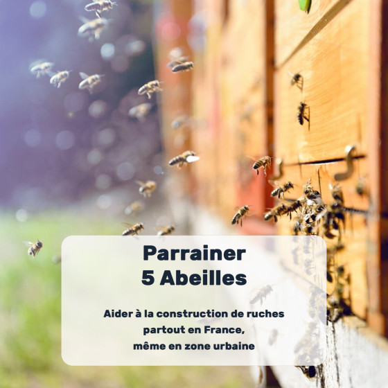 Offert : don environnemental à l'association de votre choix