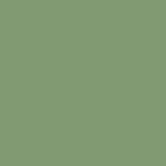 Peinture volet -  Echantillon Couleur