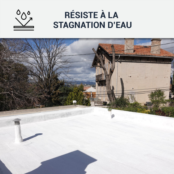 Peinture toiture Coolroof résistant stagnation d'eau : Arcareflect Aquastop