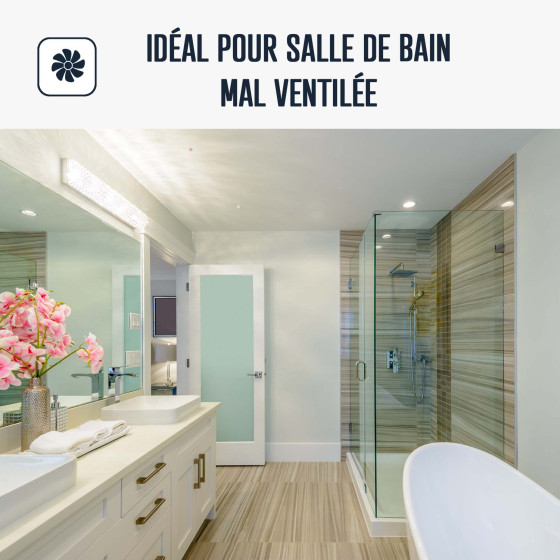 Peinture salle de bains mur et plafond : Arcadéco Salle de Bain