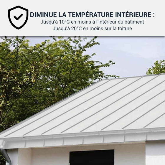 Vernice per tetti cool roof impermeabile e anticorrosione: ARCAREFLECT ANTICO