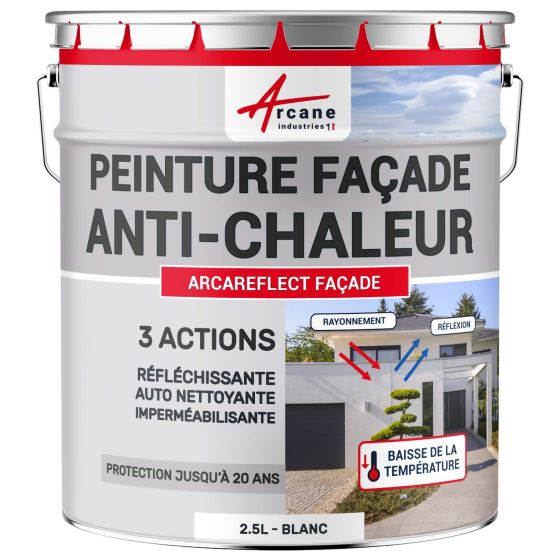 Peinture facade anti chaleur Couleur / Aspect