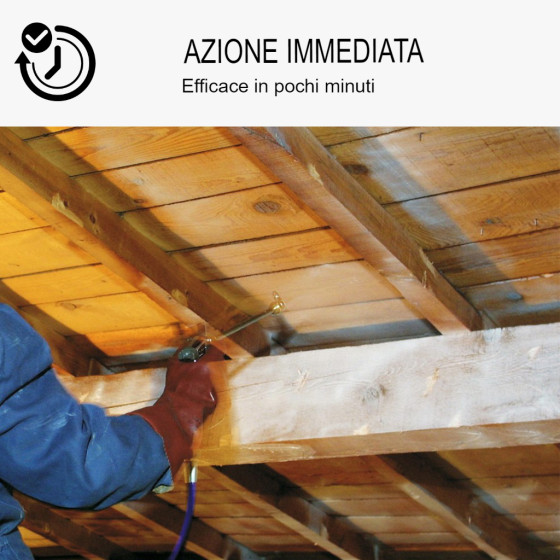Trattamento Legno Anti Termiti