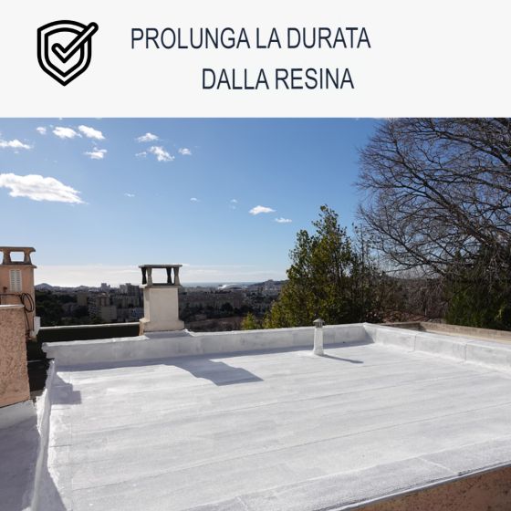 Pulitore per resina di tenuta e Cool Roof: Arcane 235