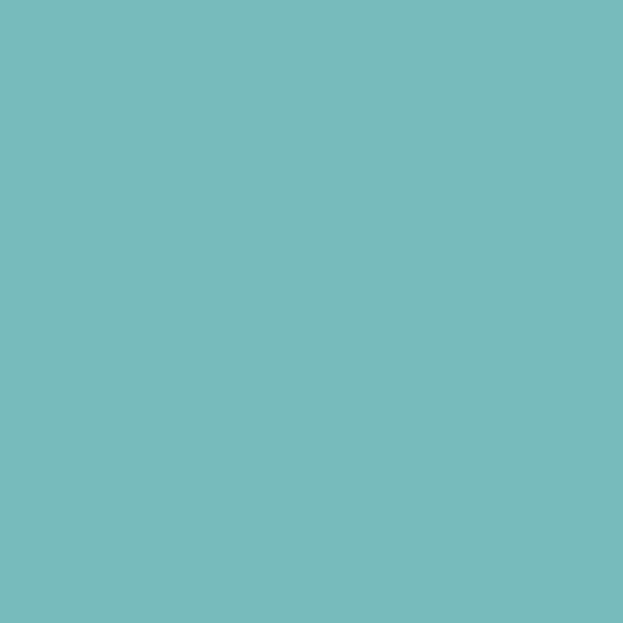 Peinture anti condensation Echantillon Couleur