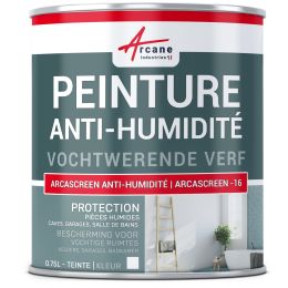 Vochtwerende verf voor vochtige muren in badkamers of kelders: ARCASCREEN -16