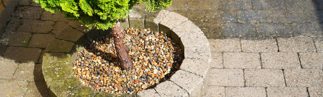 Produits anti mousse et fongicides - Maison Etanche