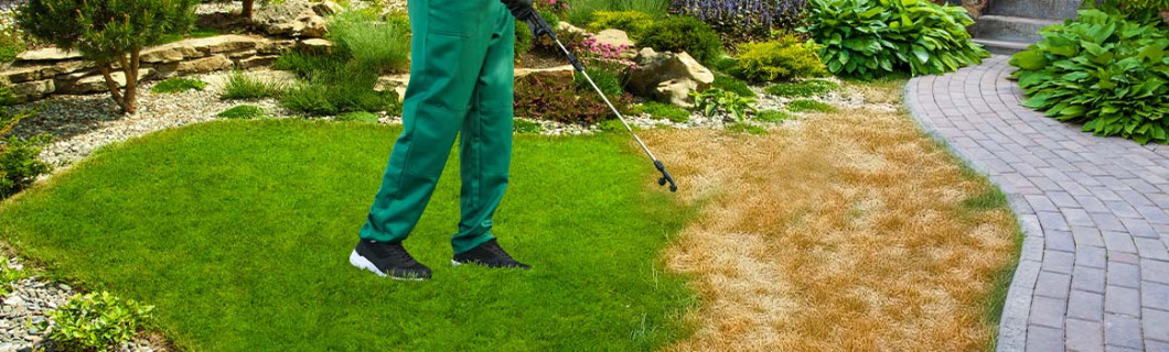 Pintura para césped seco y vegetación | Maison Etanche